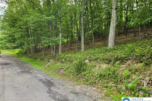 Seneca Rd, East Stroudsburg, PA 18302 - Photo 3