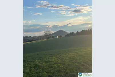 220 Dietrich Road, Albany Twp, PA 19529 - Photo 91