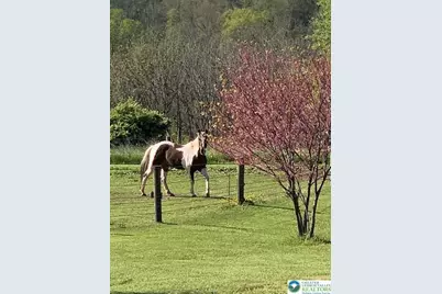 220 Dietrich Road, Albany Twp, PA 19529 - Photo 99