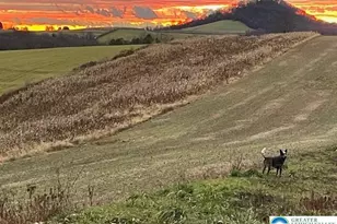 220 Dietrich Rd, Albany Twp, PA 19529 - Photo 95