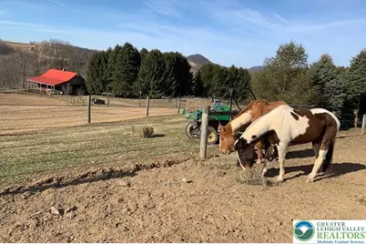 220 Dietrich Road, Albany Twp, PA 19529 - Photo 89