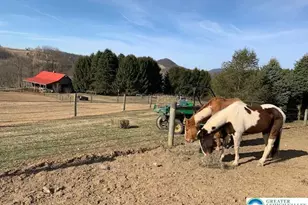 220 Dietrich Rd, Albany Twp, PA 19529 - Photo 89