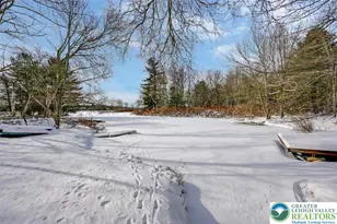 105 Bobcat Trail, Coolbaugh Twp, PA 18346 - Photo 5