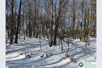 Basswood Court, Penn Forrest, PA 18210 - Photo 1