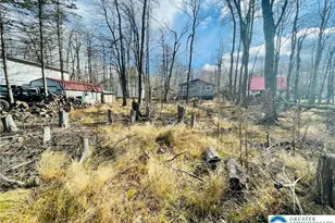 789 Waterfront Dr, Coolbaugh Twp, PA 18466 - Photo 5