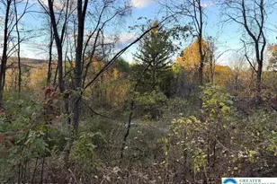 Preacher Camp Dr, Towamensing Twp, PA 18235 - Photo 5