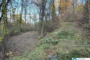 Preacher Camp Dr, Towamensing Twp, PA 18235 - Photo 3