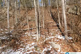 0 Claremont Ave, Rush Twp, PA 18252 - Photo 3