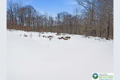 134 Split Rock Road, Newfoundland, PA 18445 - Photo 69