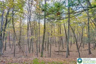 134 Rim Rd, Middle Smithfield, PA 18302 - Photo 27