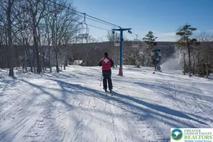 103 Ashley Ct, Lehman Twp, PA 18324 - Photo 53