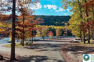 176 Lake Dr, Rush Twp, PA 18240 - Photo 53