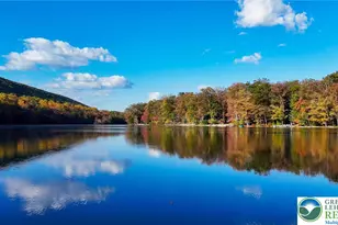 176 Lake Dr, Rush Twp, PA 18240 - Photo 55