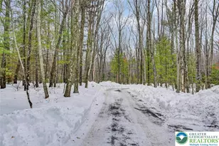 1055 Sugar Hollow Rd, Chestnuthill Twp, PA 18353 - Photo 5