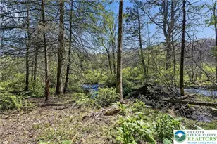 216 Merwinsburg Rd, Chestnuthill Twp, PA 18330 - Photo 93