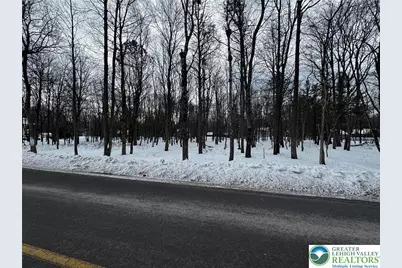 Stony Mountain Road #Lot EV961, Penn Forrest, PA 18210 - Photo 7