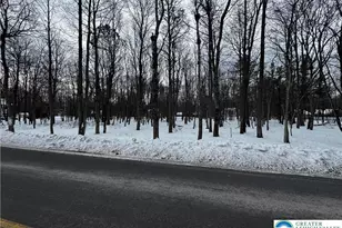 Stony Mountain Rd, Penn Forrest, PA 18210 - Photo 7