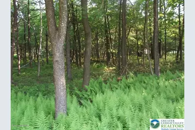 Stony Mountain Road #Lot EV961, Penn Forrest, PA 18210 - Photo 17