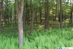 Stony Mountain Rd, Penn Forrest, PA 18210 - Photo 17