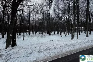 Stony Mountain Rd, Penn Forrest, PA 18210 - Photo 3