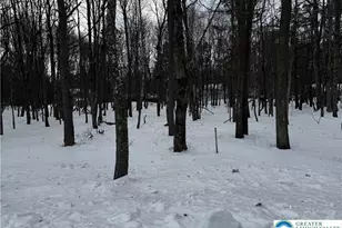 Stony Mountain Rd, Penn Forrest, PA 18210 - Photo 5