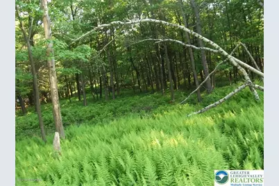 Stony Mountain Road #Lot EV961, Penn Forrest, PA 18210 - Photo 11