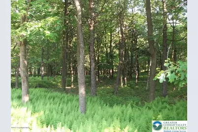 Stony Mountain Road #Lot EV961, Penn Forrest, PA 18210 - Photo 15