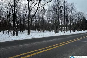 Stony Mountain Rd, Penn Forrest, PA 18210 - Photo 9