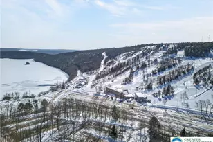 82 Doe, Kidder Twp, PA 18624 - Photo 31