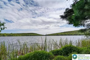 82 Doe, Kidder Twp, PA 18624 - Photo 39