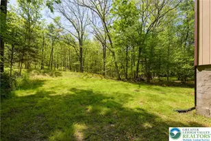 218 Blue Jay Ct, Lehman Twp, PA 18324 - Photo 9