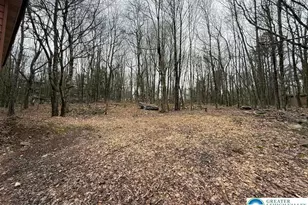 176 Birch Dr, Tunkhannock Twp, PA 18610 - Photo 21