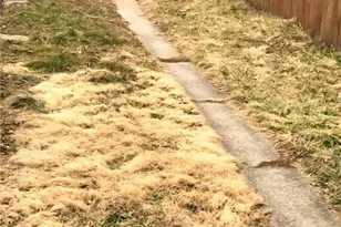 634 N 12th St, Allentown, PA 18102 - Photo 9