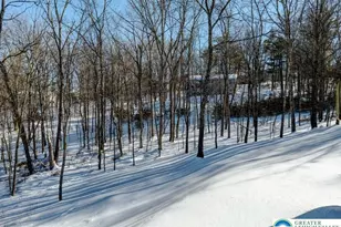 117 Fernwood Rd, Lehman Twp, PA 18324 - Photo 61