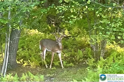 208 Bryan Drive, Kunkletown, PA 18333 - Photo 63