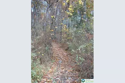 782 Uniontown Road, Phillipsburg, NJ 08865 - Photo 41