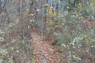 782 Uniontown Rd, Phillipsburg, NJ 08865 - Photo 41