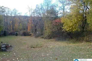 782 Uniontown Rd, Phillipsburg, NJ 08865 - Photo 39