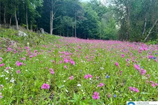 1153 Lower Smith Gap Rd, Eldred Twp, PA 18058 - Photo 35