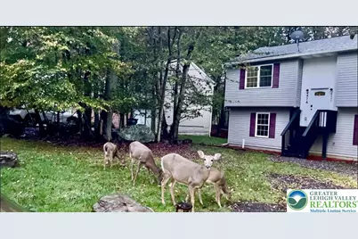 8440 Bear Trail Drive, Tobyhanna, PA 18466 - Photo 1