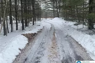 25 Rollingwood Trail, Chestnuthill Twp, PA 18353 - Photo 5