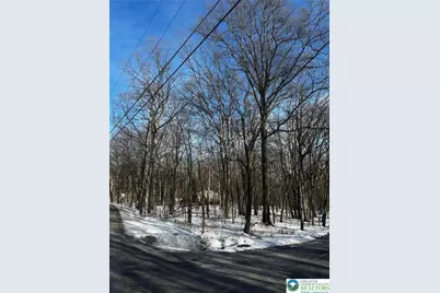 Forest Street, Penn Forrest, PA 18235 - Photo 1