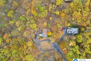 2318 Sunbird Ct, Henryville, PA 18332 - Photo 47