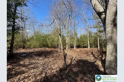 Hawk Lane #LOT 657, Penn Forrest, PA 18229 - Photo 1