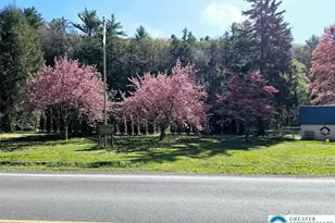 3585 Fairyland Rd, Franklin Twp, PA 18235 - Photo 93