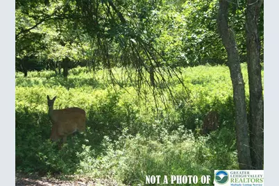 Kilmer Trail, Penn Forrest, PA 18210 - Photo 1
