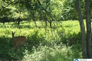 Kilmer Trail, Penn Forrest, PA 18210 - Photo 1