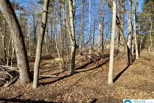 7126 Pa Route 873, Washington Township, PA 18080 - Photo 43