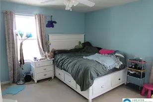 17 Wilt Rd, Bechtelsville Boro, PA 19505 - Photo 29