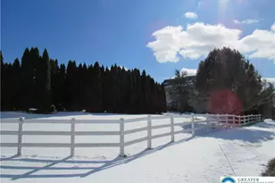 17 Wilt Rd, Bechtelsville Boro, PA 19505 - Photo 15